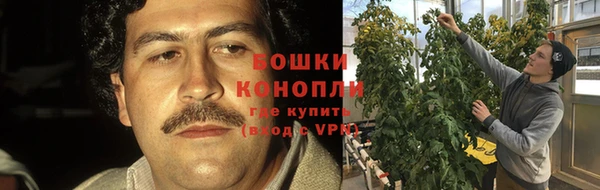 spice Белоозёрский