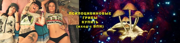 таблы Богородицк