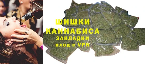 spice Богданович